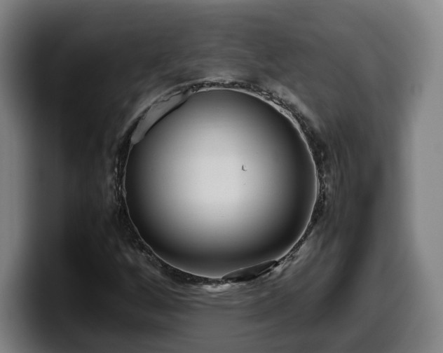 X0000099941256200805301210