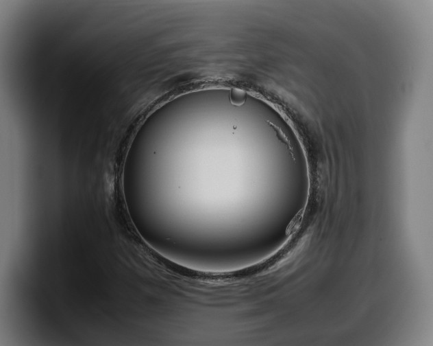X0000099941257200805301210