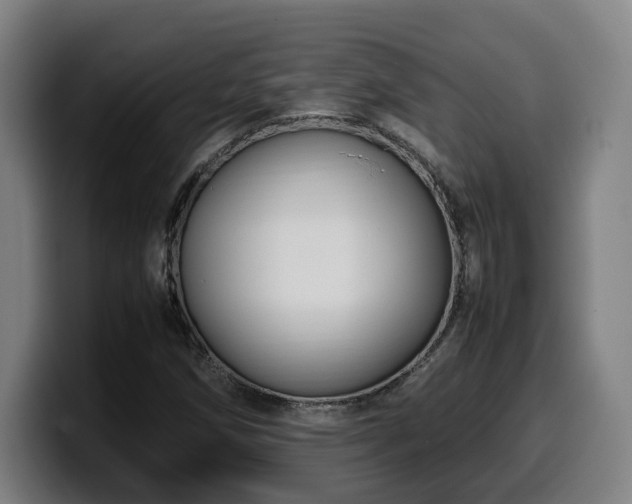 X0000099941258200805301210