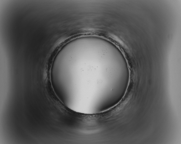 X0000099941259200805301210