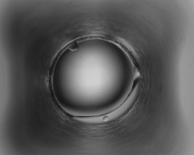 X0000099941260200805301210