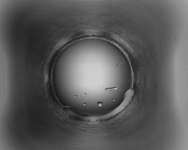 X0000099941261200805301210