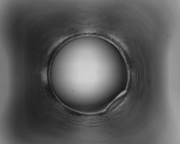 X0000099941262200805301210