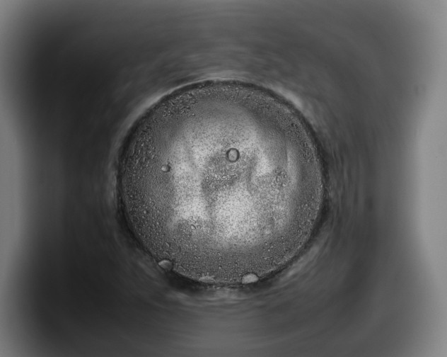 X0000099941263200805301210