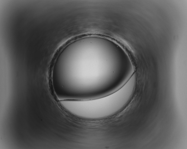 X0000099941264200805301210