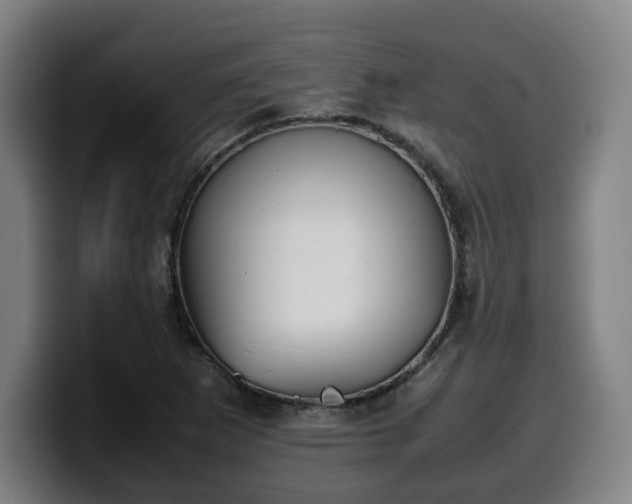 X0000099941265200805301210
