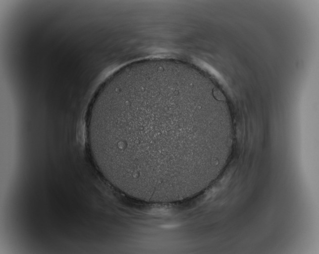 X0000099941267200805301210