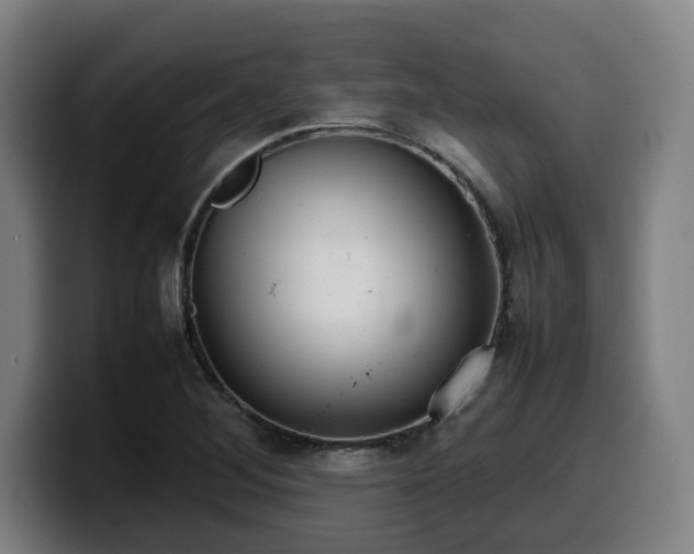 X0000099941268200805301210