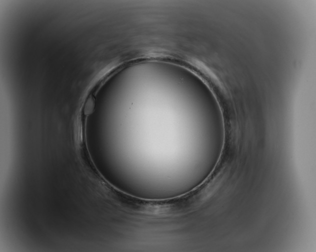 X0000099941269200805301210