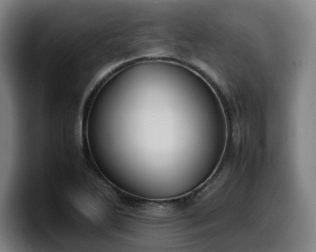 X0000099941270200805301210
