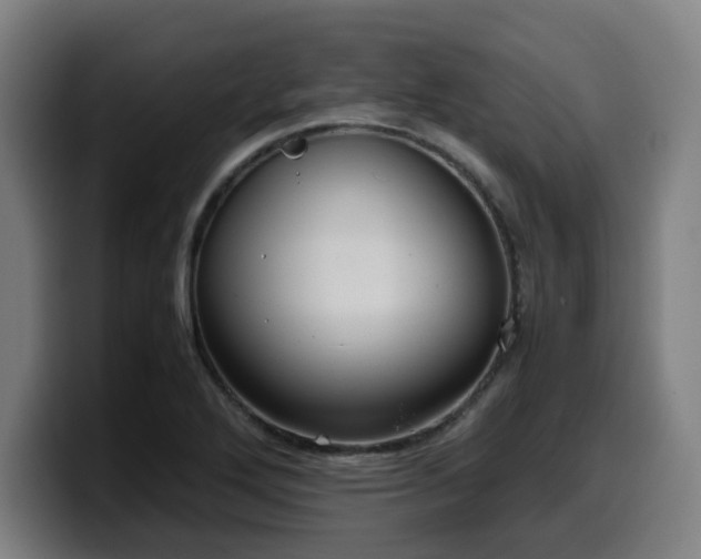 X0000099941272200805301210