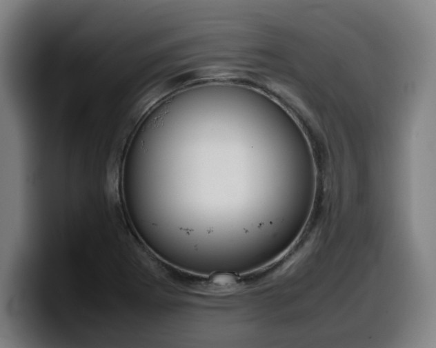 X0000099941273200805301210