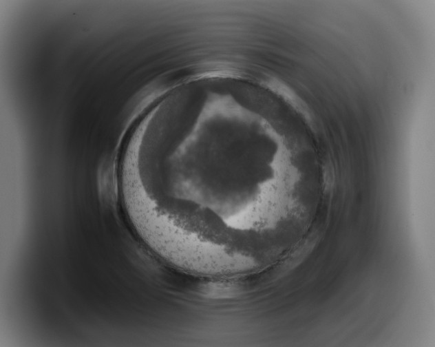 X0000099941274200805301210