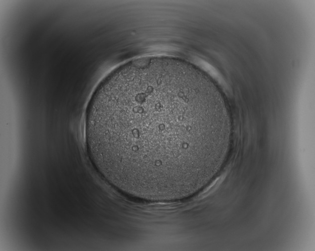 X0000099941275200805301210
