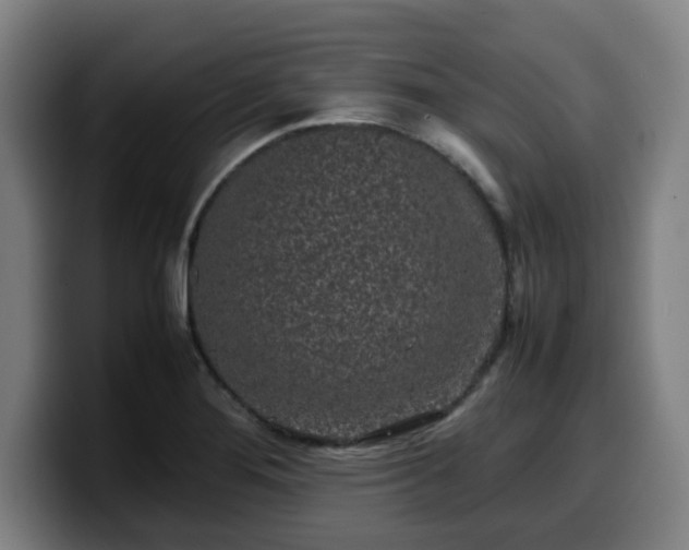 X0000099941276200805301210