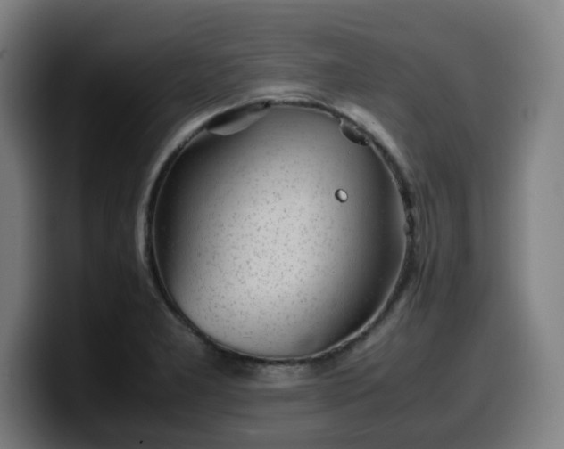 X0000099941277200805301210