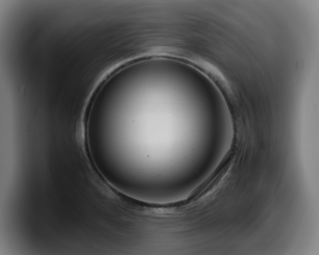 X0000099941280200805301210
