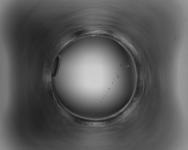 X0000099941281200805301210