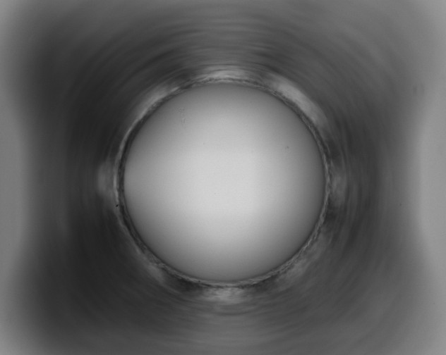 X0000099941282200805301210