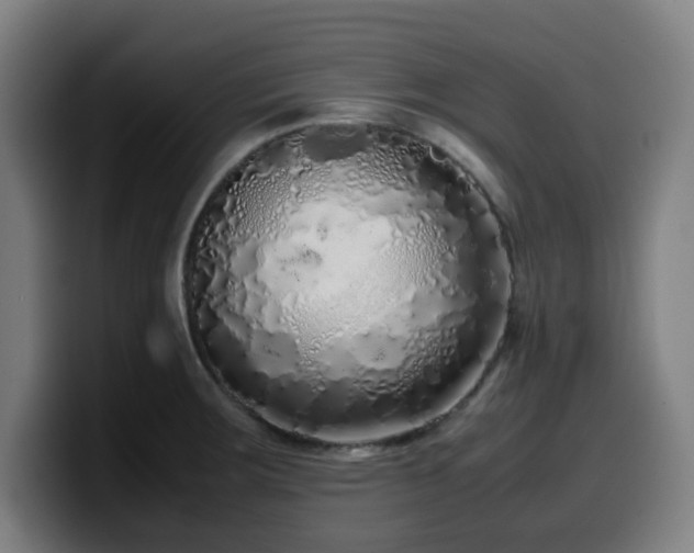 X0000099941283200805301210