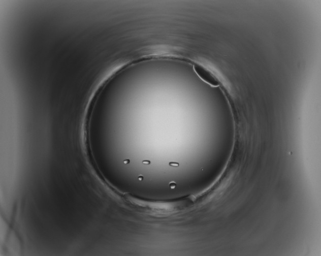 X0000099941285200805301210