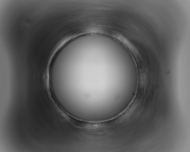 X0000099941286200805301210