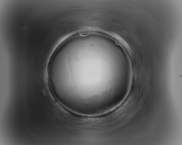 X0000099941287200805301210