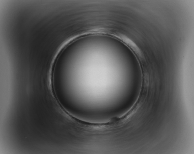 X0000099941288200805301210