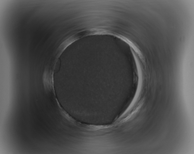 X0000099941289200805301210
