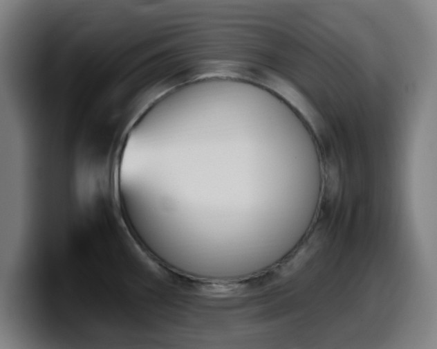 X0000099941290200805301210