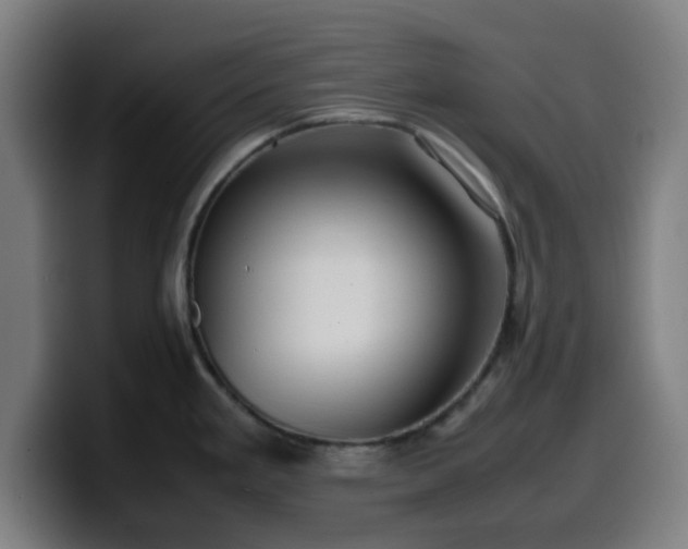 X0000099941293200805301210