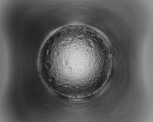 X0000099941295200805301210