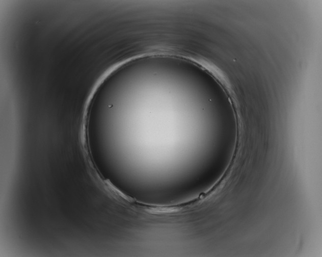 X0000099941296200805301210