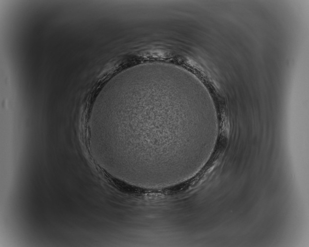 X0000099941297200805301209