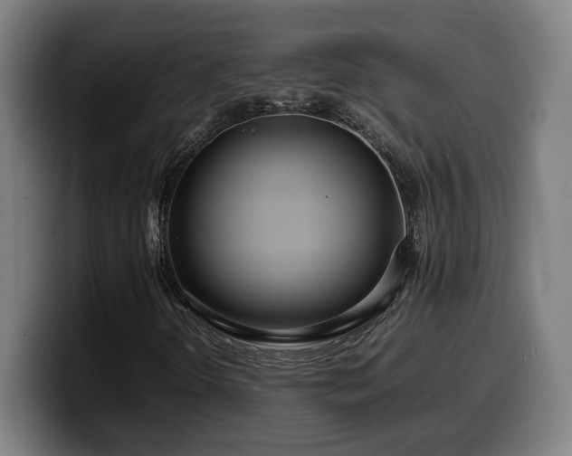 X0000099941298200805301209