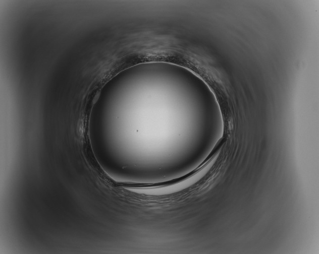 X0000099941300200805301209