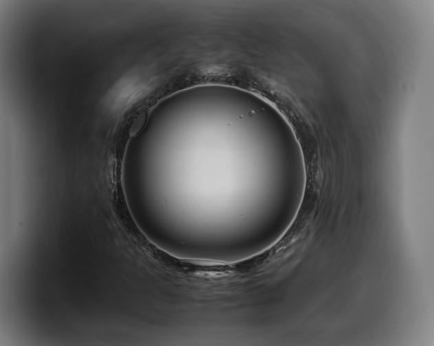 X0000099941301200805301209