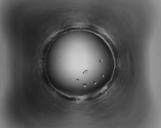 X0000099941304200805301209