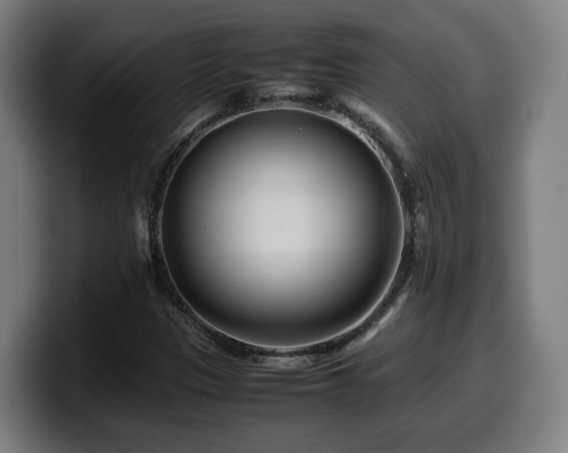 X0000099941305200805301209