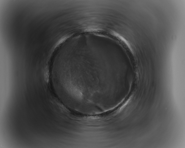 X0000099941306200805301209