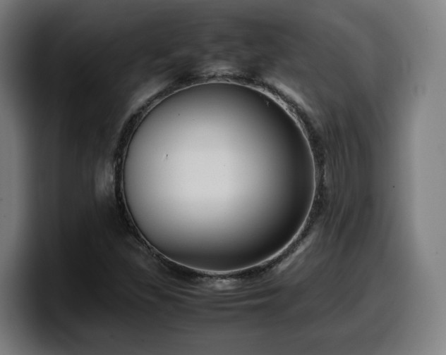 X0000099941309200805301209