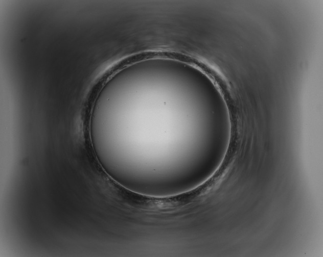 X0000099941311200805301209