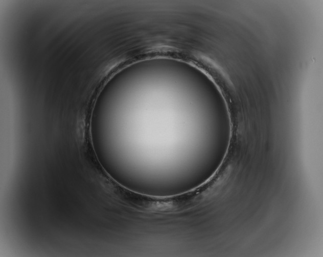 X0000099941313200805301209