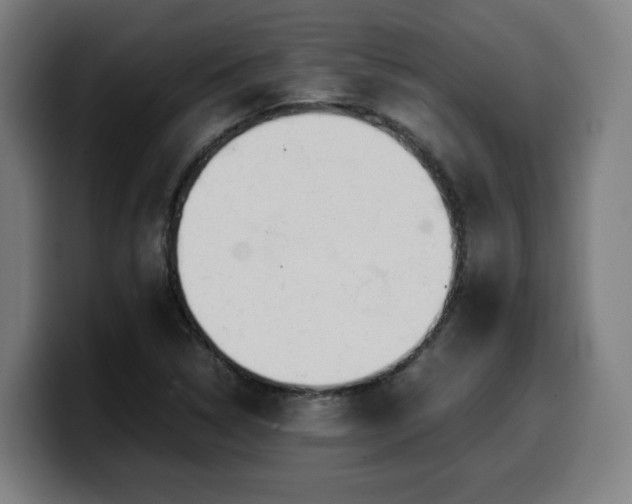 X0000099941314200805301209