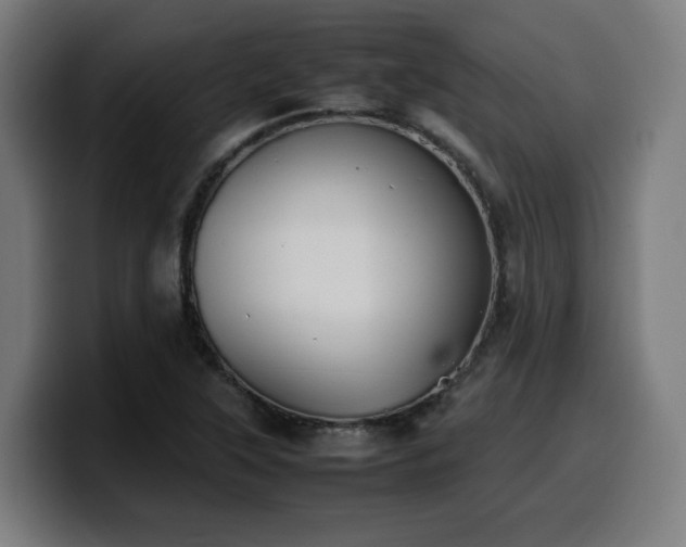 X0000099941315200805301209