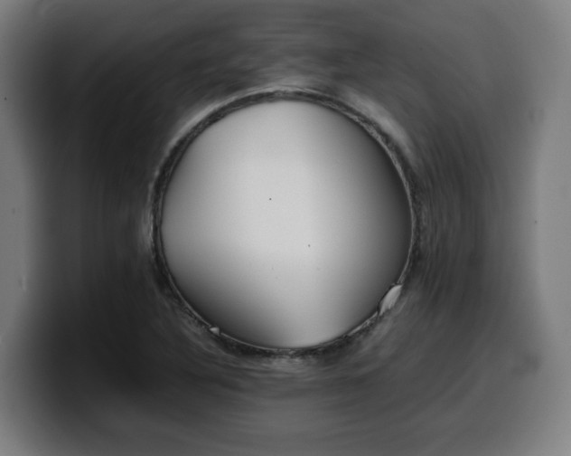 X0000099941316200805301209