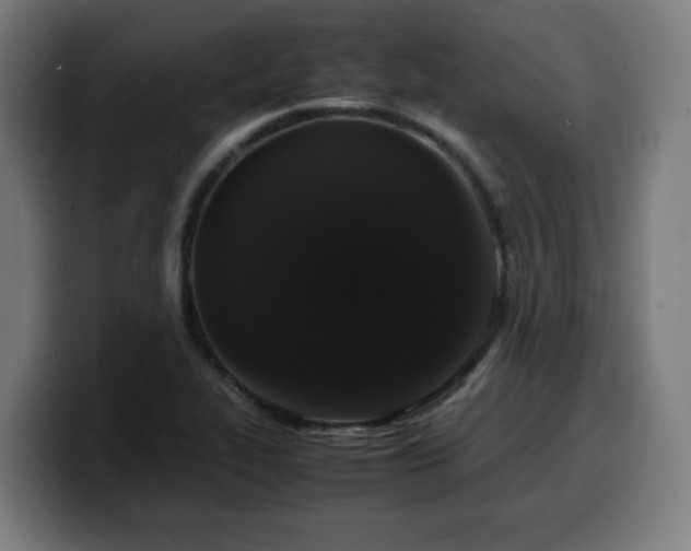 X0000099941319200805301209