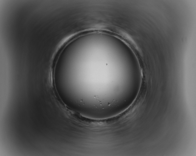 X0000099941320200805301209