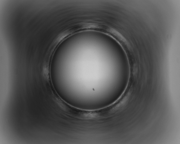 X0000099941321200805301210