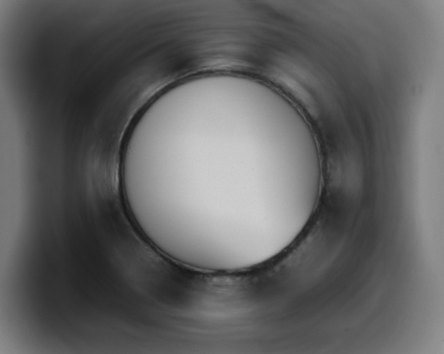 X0000099941322200805301210